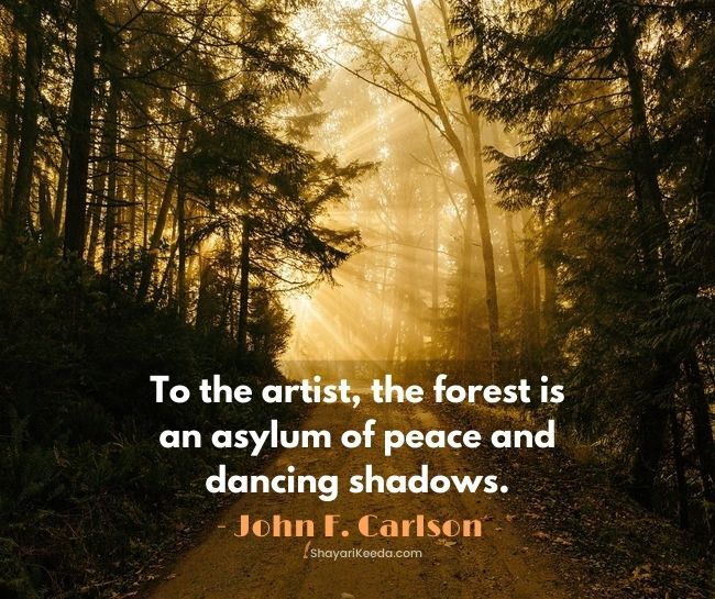 World forest day quotes