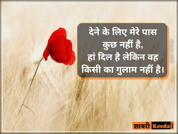 Heart touching quotes in hindi for love