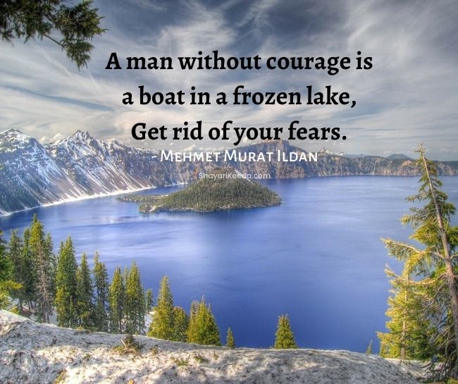 Lake quotes status