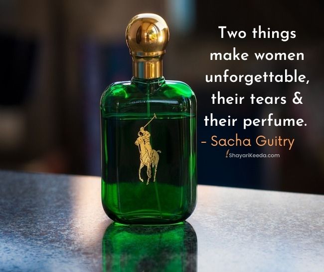 Quotes on scent