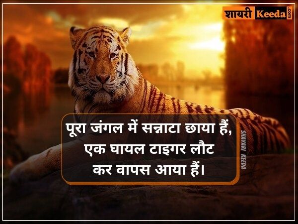 Tiger Shayari in Hindi | Tiger Attitude Status I 2 Lines on Sher