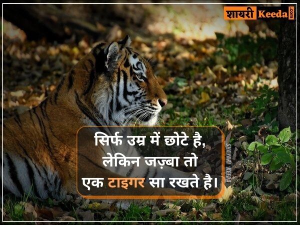 Tiger attitude status in hindi